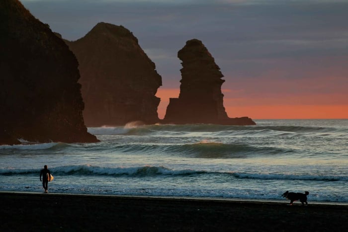 Auckland Private Tour: West Coast Wilderness & Piha Beach