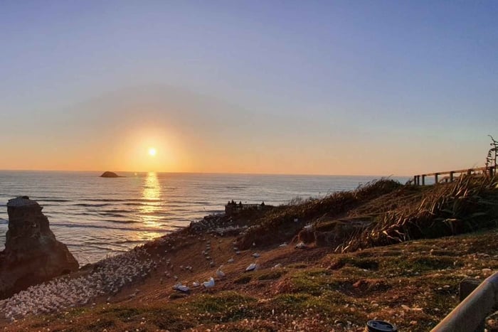 Auckland: Sunset Tour with Thermal pool & Wine Tasting