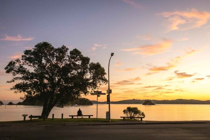 Auckland to Paihia via West Coast Small Group Tour (One Way)