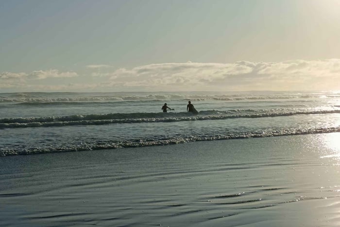 “City & Coast & Country” – A Relaxed Day Tour from Auckland