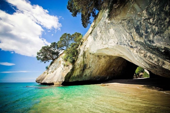 Coromandel & Cathedral Cove with Lunch from Auckland