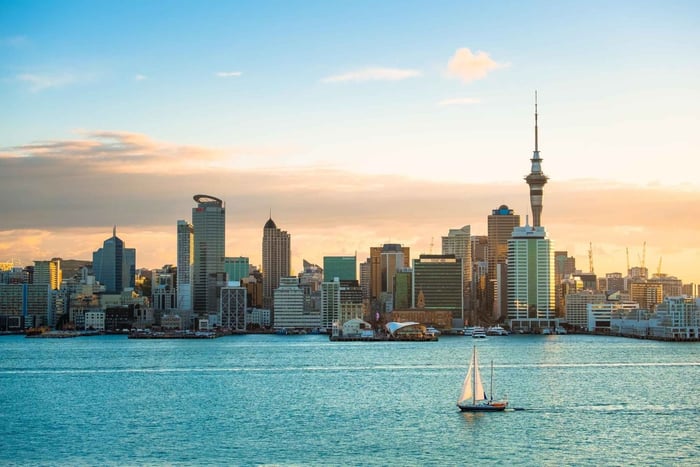 Explore Auckland on a Private Full-Day Shore Tour