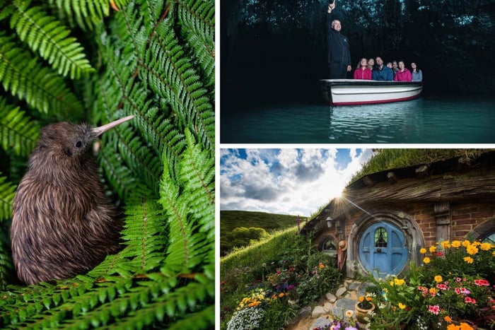 From Auckland: Hobbiton, Waitomo Caves & Kiwi House Tour