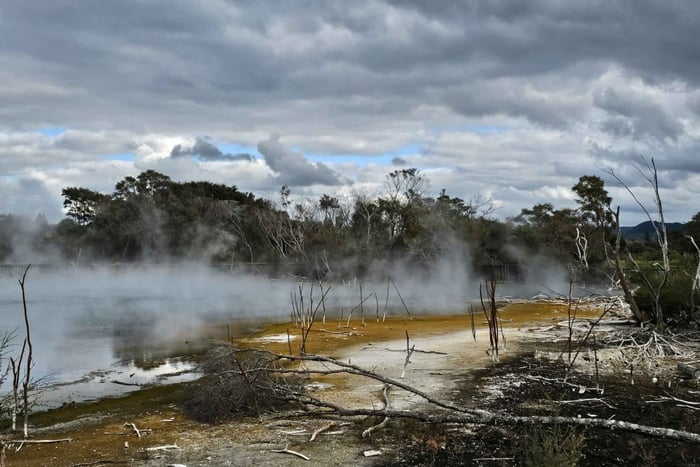 From Auckland - Lake Taupo and Rotorua Private Day Tour
