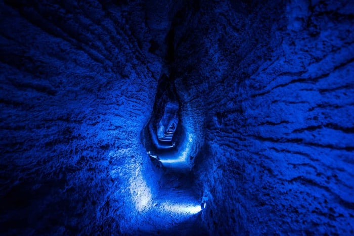 From Auckland: Waitomo Glowworm and Ruakuri Caves Day Tour