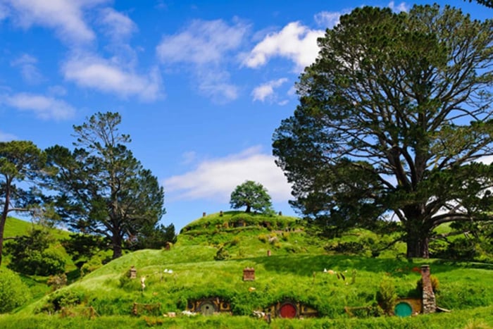 From Auckland: Waitomo & Hobbiton Bus Tour with Lunch