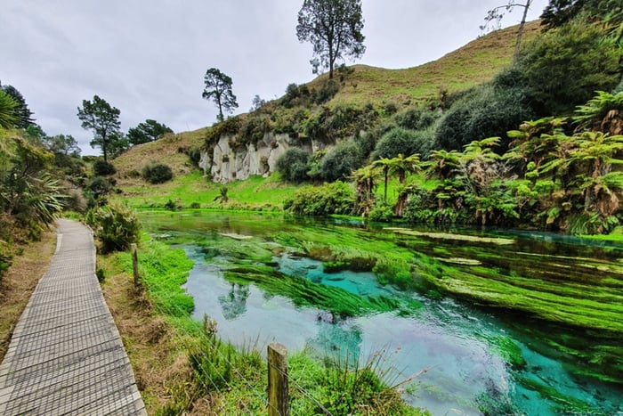 From Hamilton: Magical Hobbiton Movie Set & Blue Springs