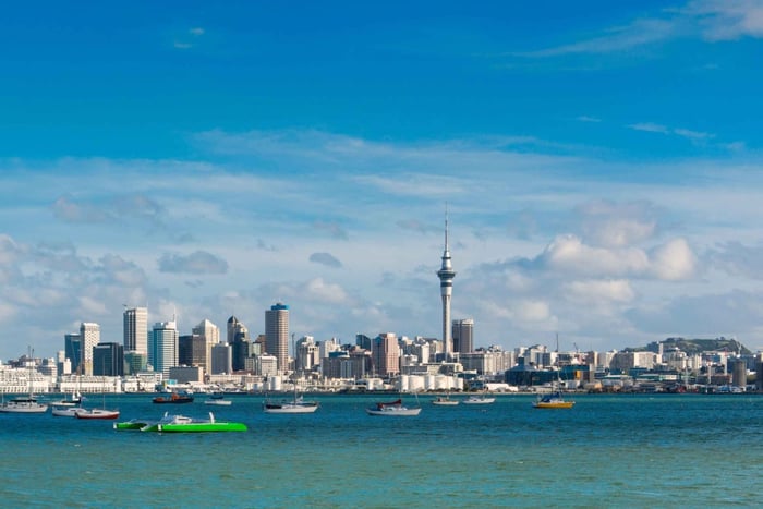 Full-day Private Tour - Auckland Explorer - From Coast To Coast
