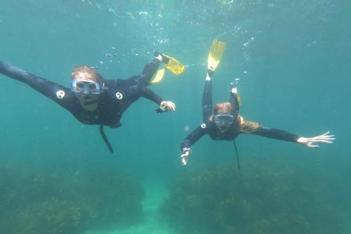 Goat Island Guided Snorkelling Tour For Advanced