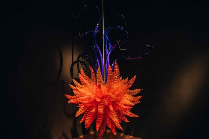 Matakana Art & Wine Village Private Tour
