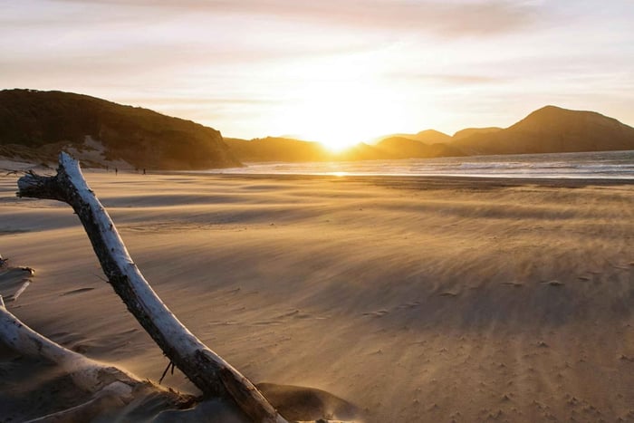 Private Halbtagestour zu Mount Eden, Karekare und Piha