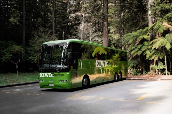 New Zealand: National Hop-On Hop-Off Pass