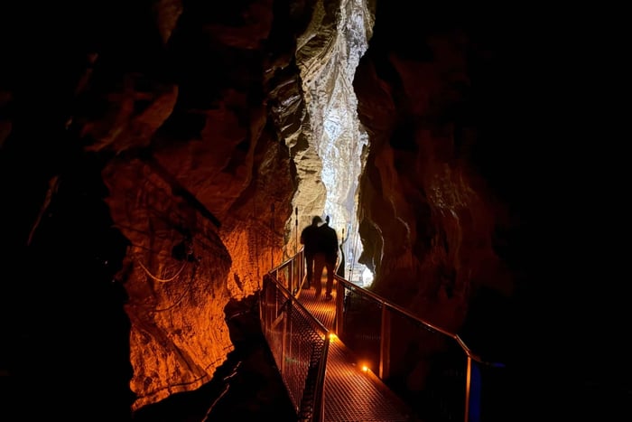 Private Day Tour: Ruakuri Cave, Blue Springs & Hobbiton