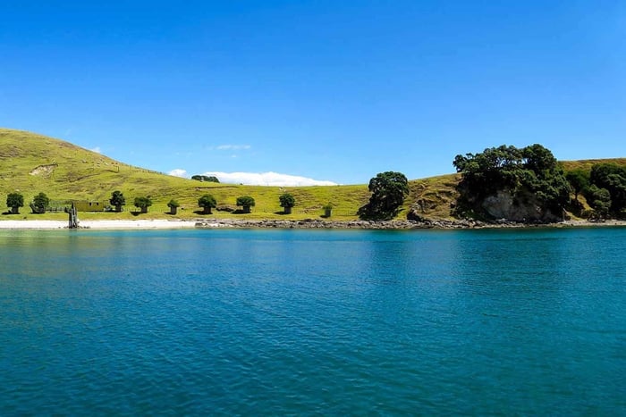 Privater Helikopterflug mit Picknick auf einer Insel