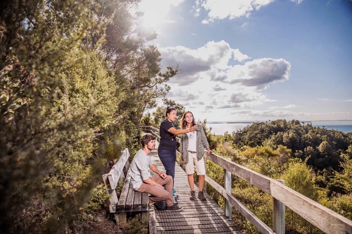 Rangitoto Island Guided Hike with Ferry Ride
