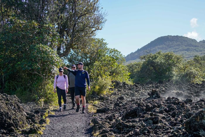 Rangitoto Island Guided Walk with Ferry Ticket