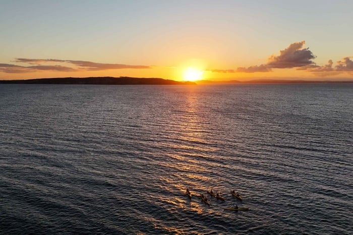 Auckland : kayak au coucher du soleil, sortie nocturne en paddle avec pingouins et dîner