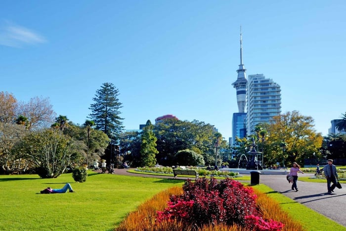 The Best of Auckland Private Walking Tour
