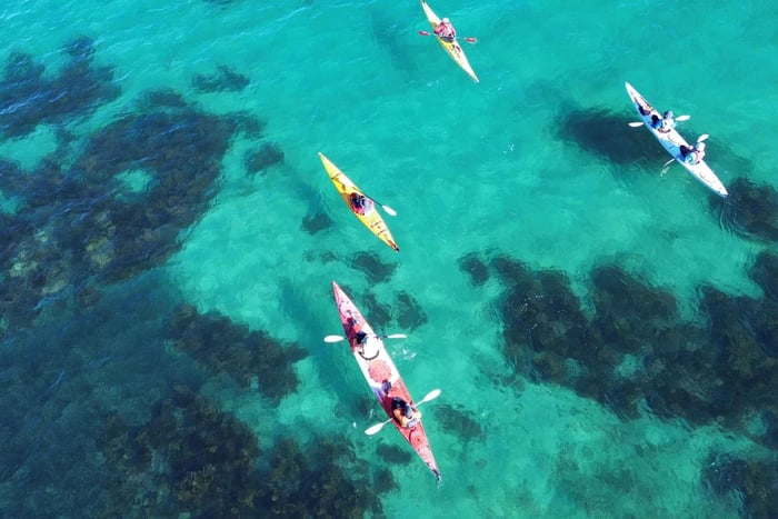 Tiritiri Matangi Island Kayak Tour