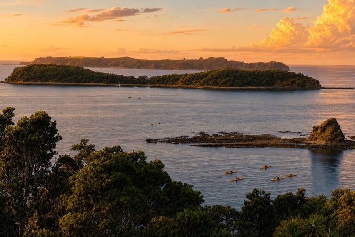 VIP-privékajak naar Motuora-eiland en ontmoeting met kiwi's