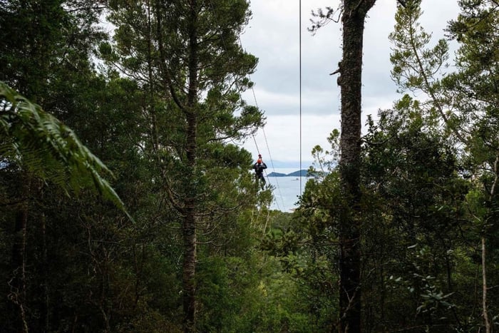 Waiheke Island Man O' War Forest Flight Zipline