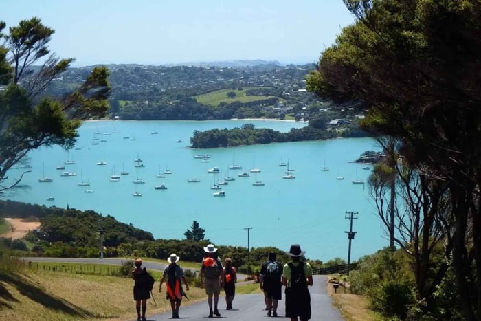 Waiheke Island Walking Private Tour