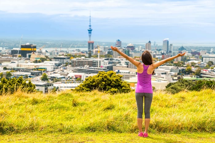 Auckland City Express Tour: 3-Hour Kiwi Experience