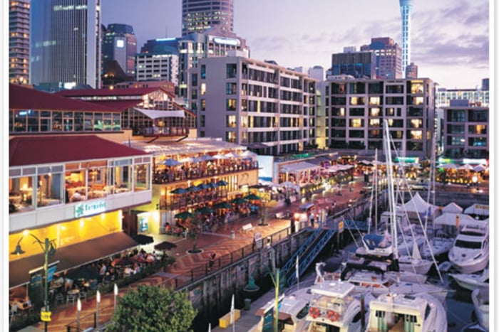 Auckland City Highlights: Morning Guided Tour