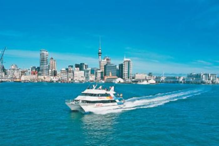 Auckland Harbour Cruise and Sky Tower Full-Day Tour