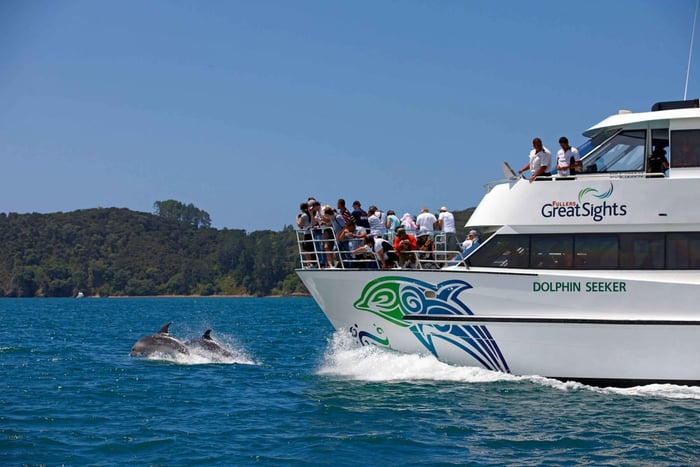 Bay of Islands Day Tour with Dolphin Watching Cruise