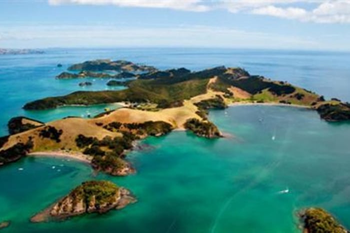Bay of Islands Full-Day Express Tour From Auckland