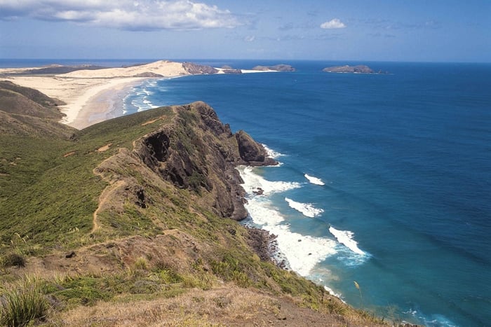 From  Bay of Islands & Cape Reinga Multi-Day Trip