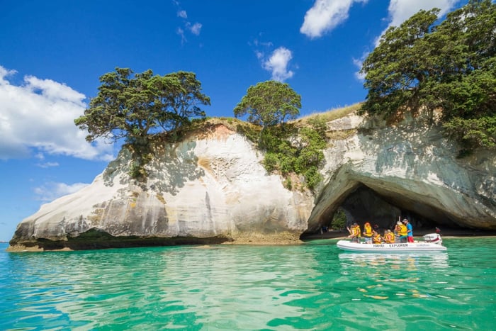 From  Coromandel and Cathedral Cove Tour
