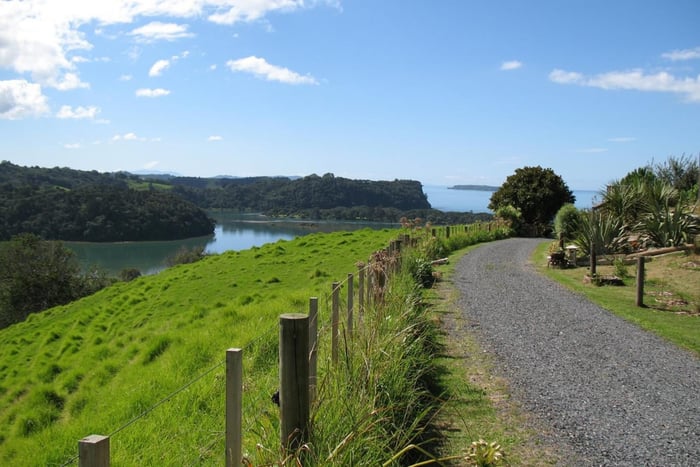  Matakana Region Wine & Cheese Tasting Getaway Tour
