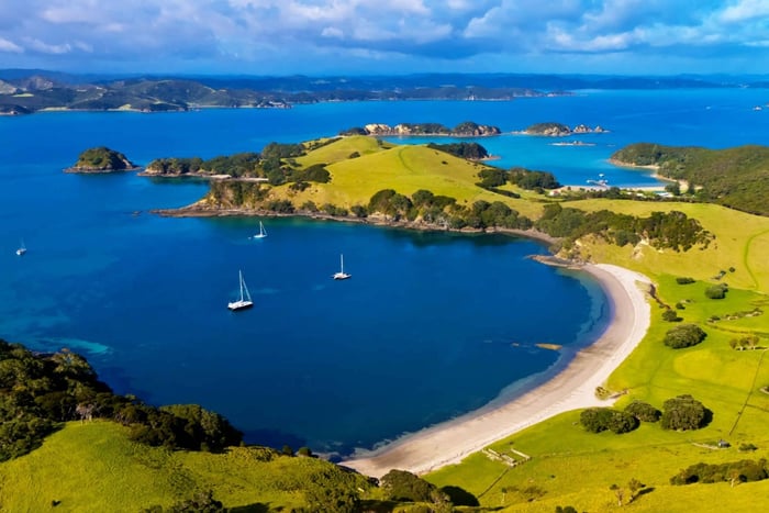 Private Bay of Islands Day Tour with Cruise from Auckland