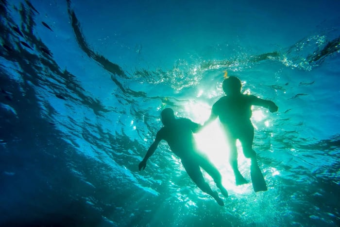 Waiheke Island Guided Snorkeling Tour