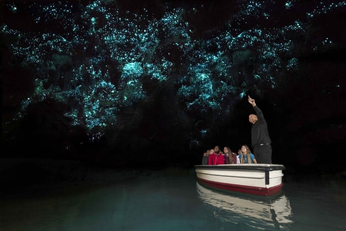 Waitomo Caves, Agrodome & Te Puia Coach Tour from Auckland