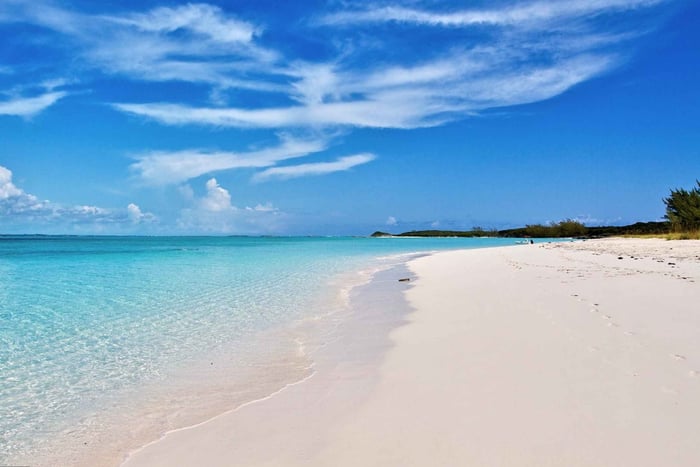 De Nassau : Cochons nageurs d'Exuma, requins et autres