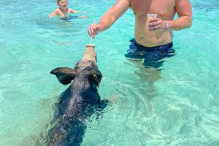 Från Nassau: Simma med grisar Safari