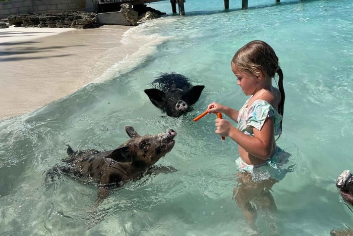 Nassau: Barco 3 Islas con Cerdos Nadadores, Snorkel y Tortugas