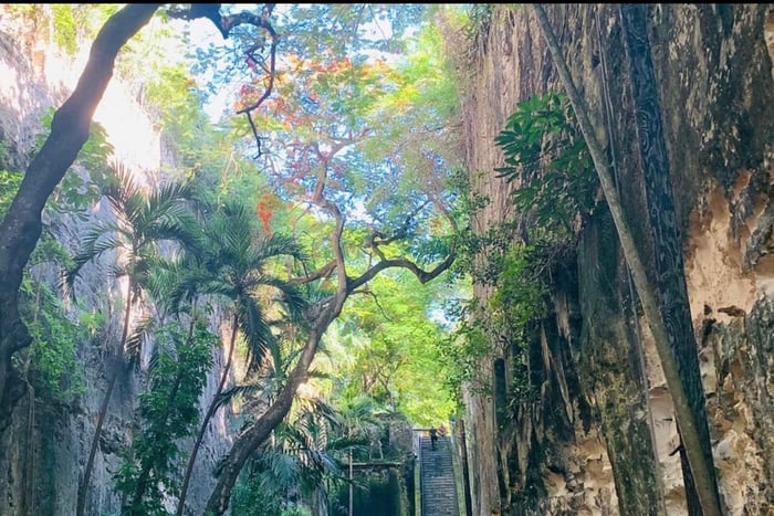 Nassau: Guided Walking Tour with Local Treats