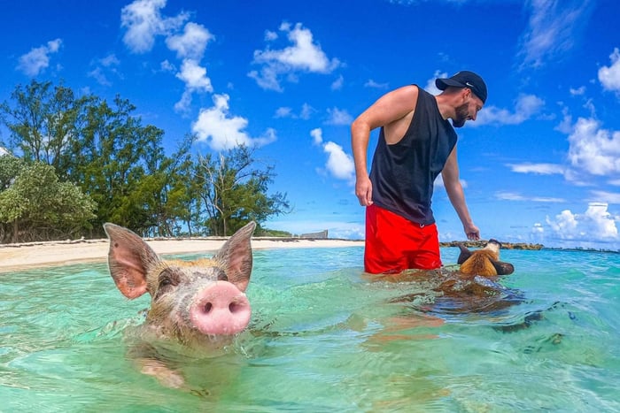 Nassau: Sun Cay and Swimming Pigs Boat Trip with Lunch