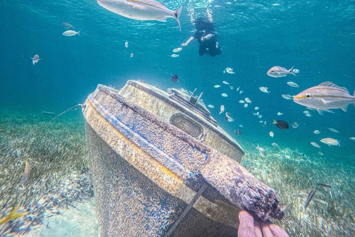 Nassau: viagem de um dia a Sun Cay, mergulho com snorkel, encontro com iguanas e almoço