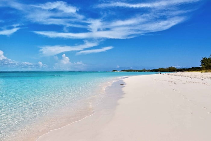 From Nassau: Exuma Swimming Pigs, Sharks and More