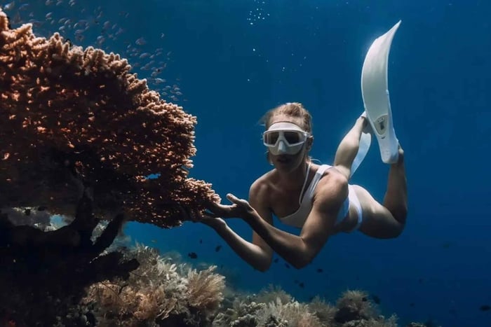 Bali/Amed: Experiência de snorkeling num templo subaquático
