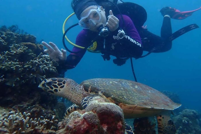Bali : Blue Lagoon Scuba Diving Tour And Discover Scuba Dive