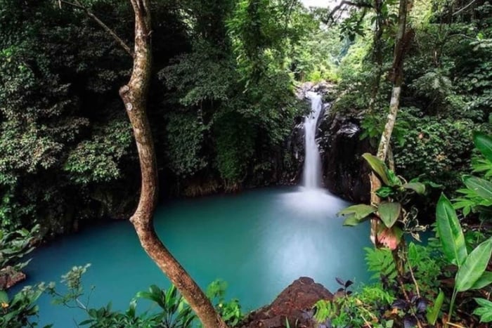 Bali: Customised North Bali Tour With Private Car and Driver