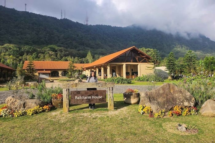 Bali: Farm House Pancasari & Strawberry Picking Tour