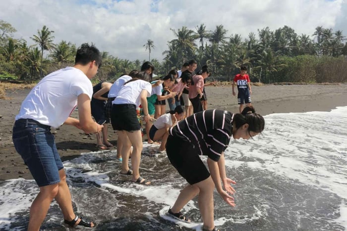 Playa de Saba, programa de conservación de tortugas