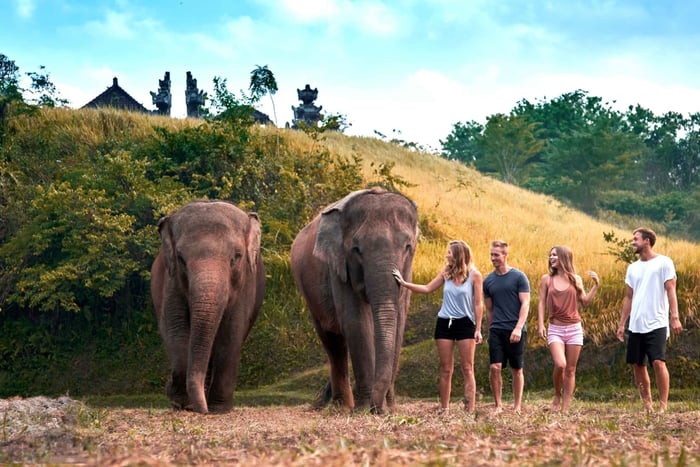 Bali Zoo: oprowadzanie po zoo z opieką nad słoniami i kąpielą błotną